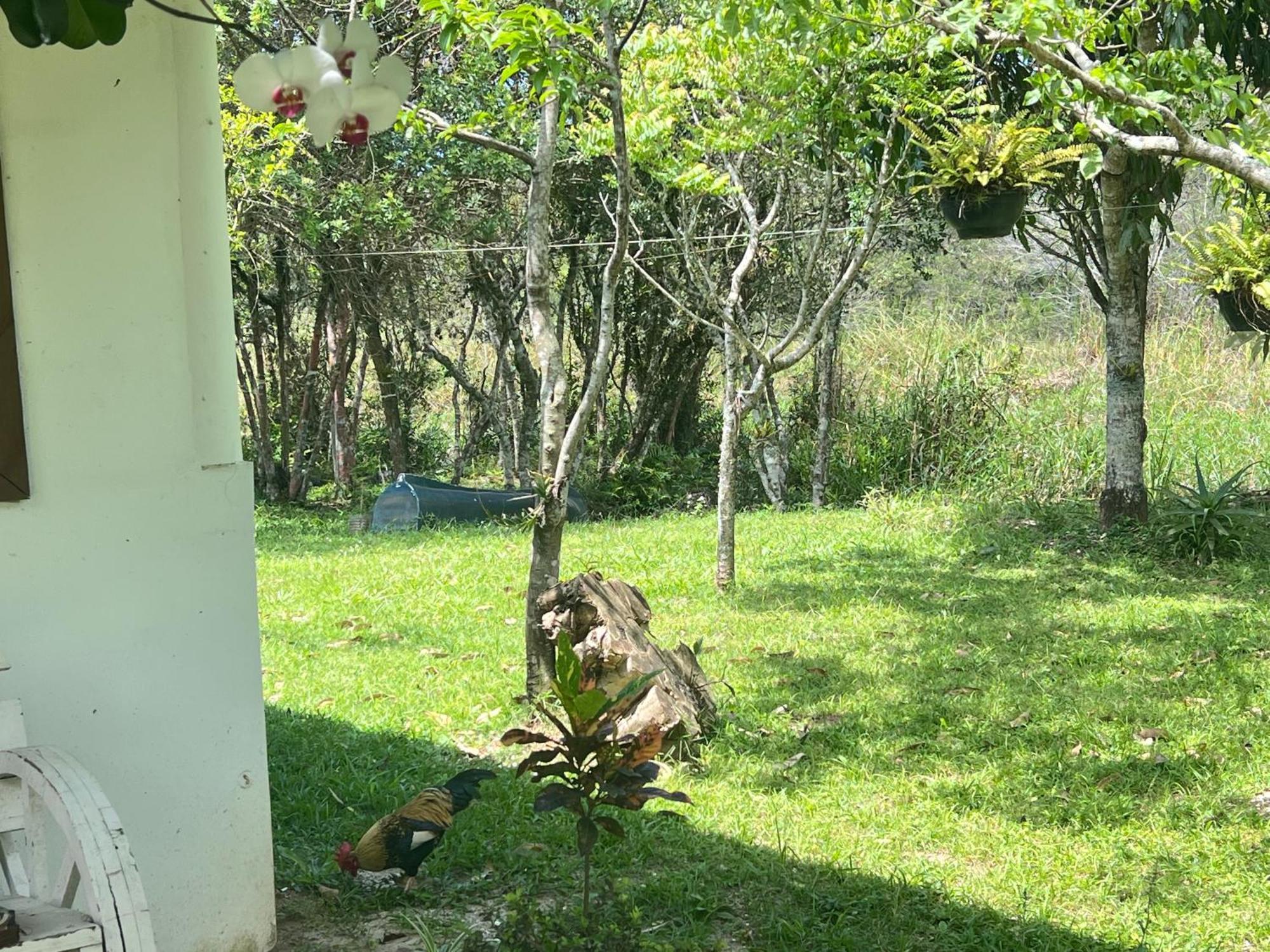 Morada Fenix Bed & Breakfast Guarda do Embaú Dış mekan fotoğraf